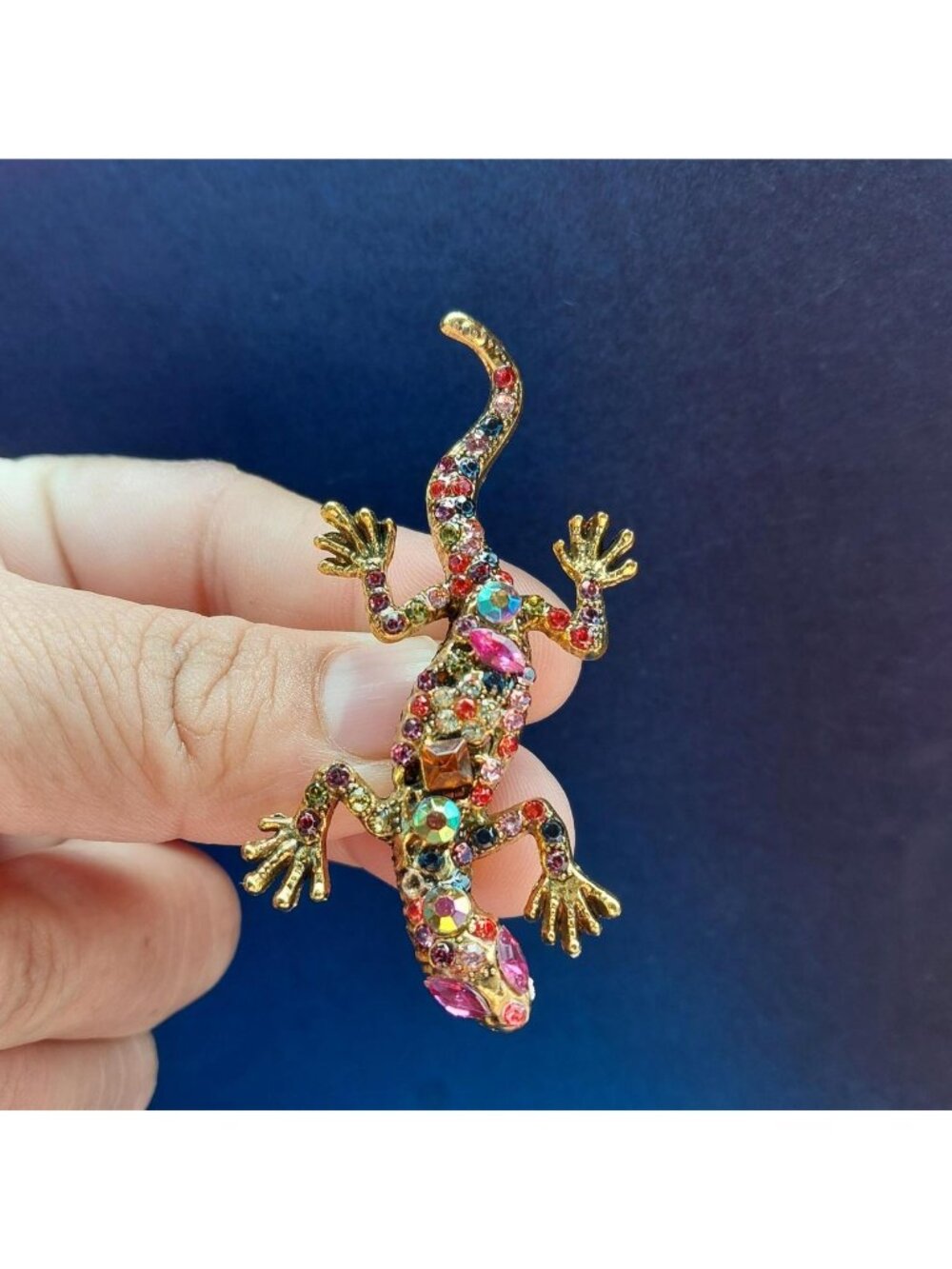 Multi Coloured Rhinestone Lizard Brooch Lizard